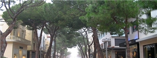 1994_Riccione_590x220